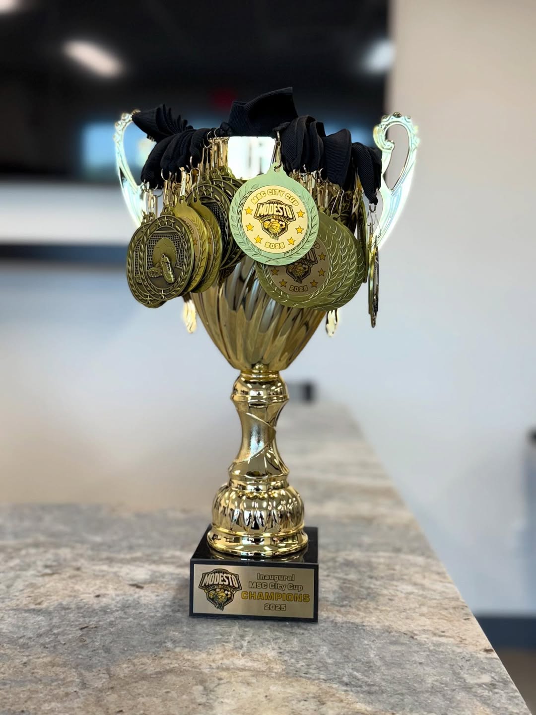 Modesto Sports Center
Trophy & Medallions